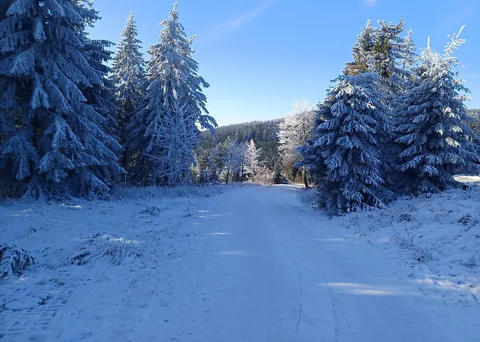 Fewo Oberhof - Tiefgarage Und Parkplatz Inklusive