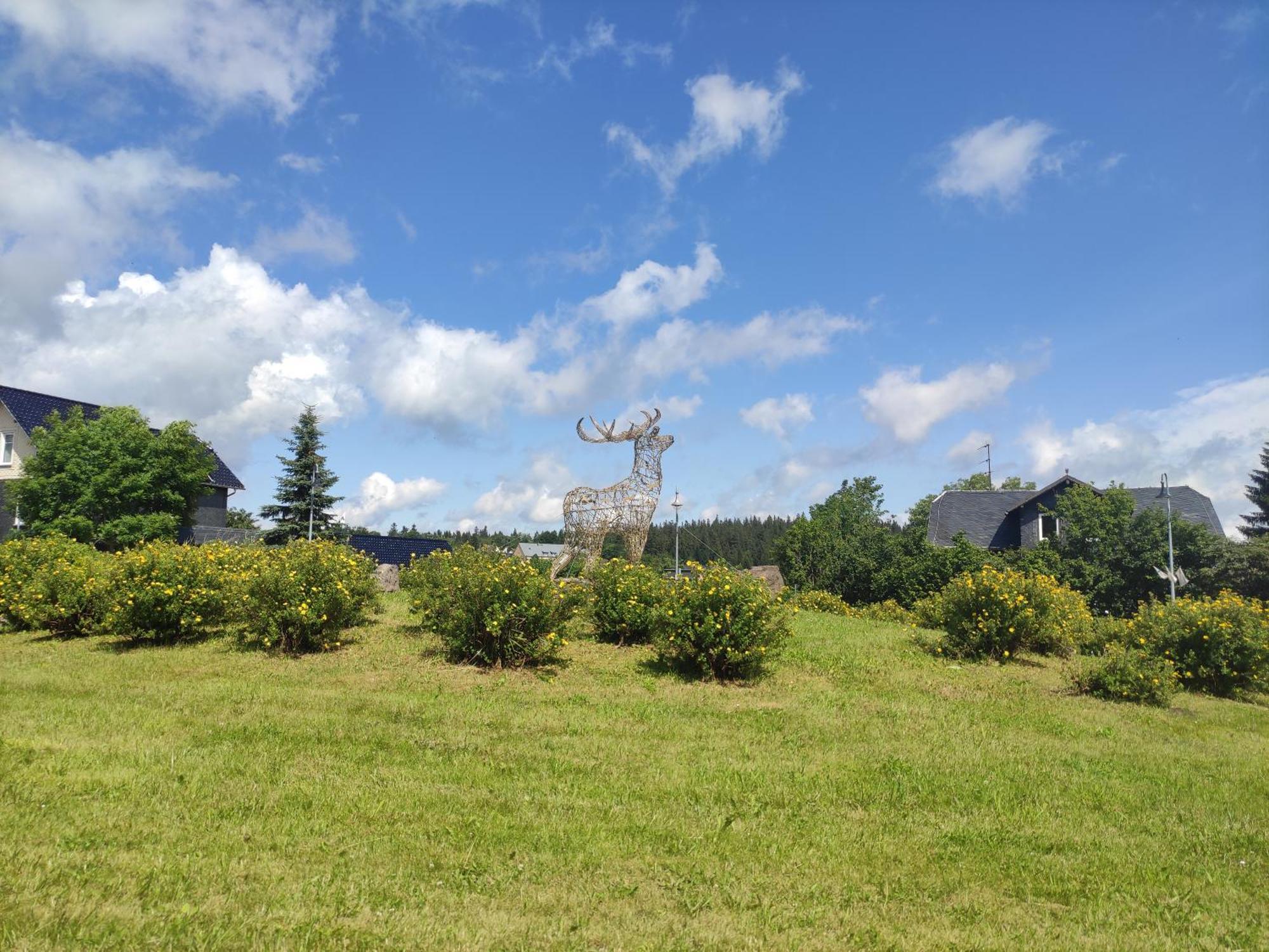 Apartament Oberhof - Tiefgarage Und Parkplatz Inklusive *